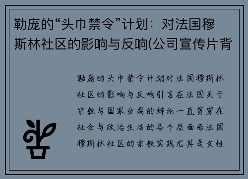 勒庞的“头巾禁令”计划：对法国穆斯林社区的影响与反响(公司宣传片背景音乐)