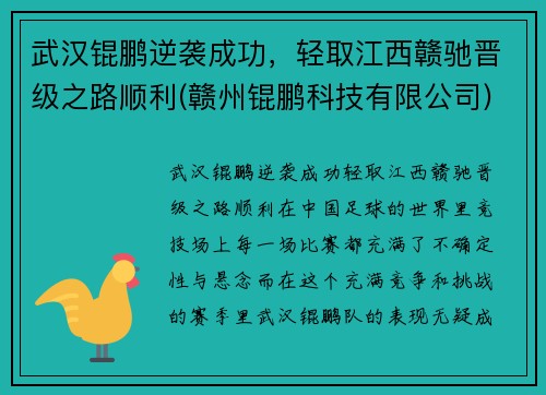 武汉锟鹏逆袭成功，轻取江西赣驰晋级之路顺利(赣州锟鹏科技有限公司)